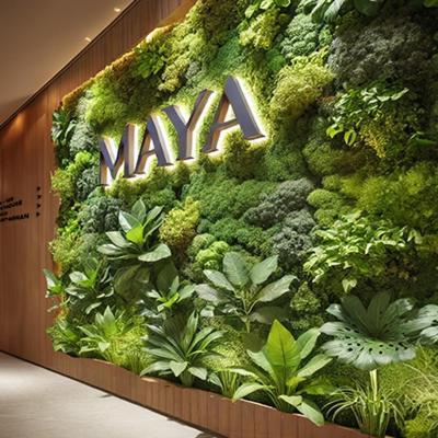 Maya Appartements & Suites 卢瓦尔河畔科讷库尔 外观 照片